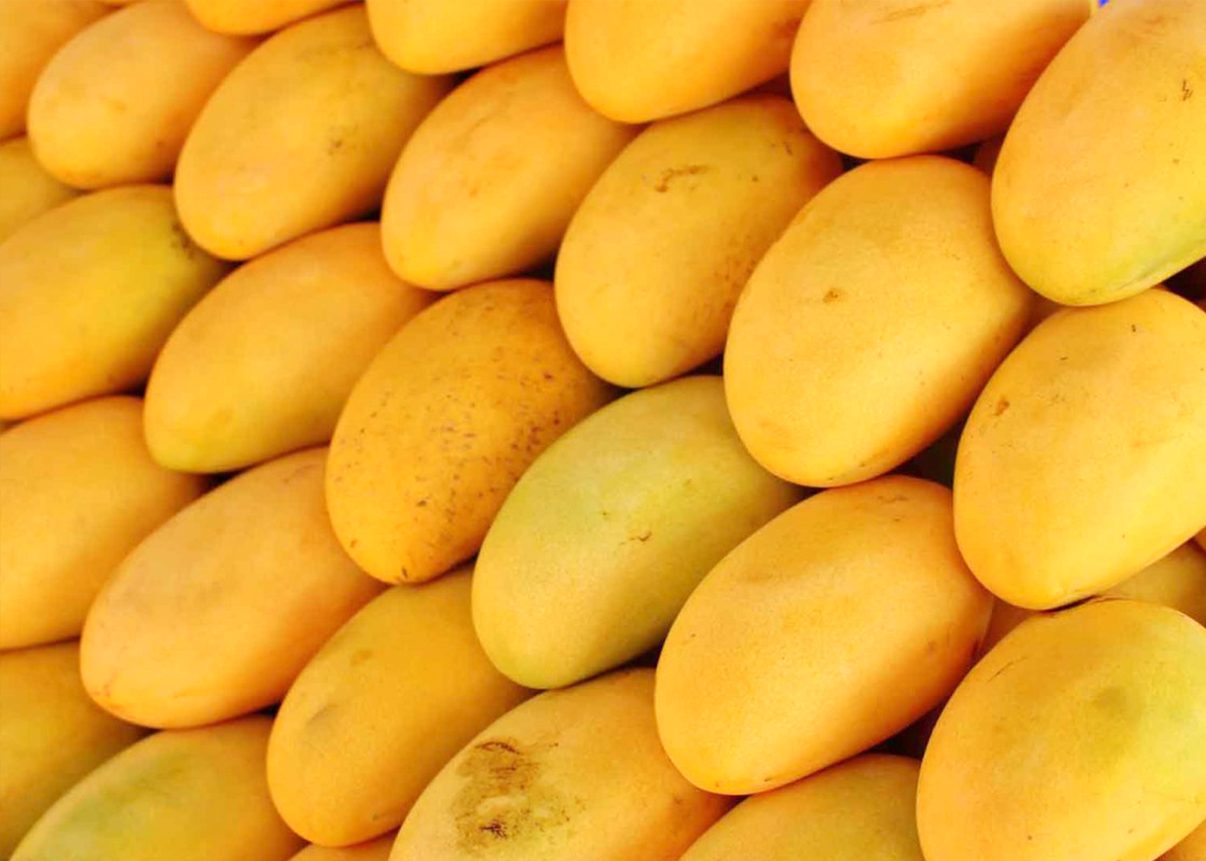 buy mango juice online in india