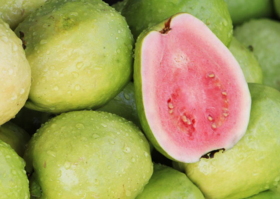 buy guava juice online in india 