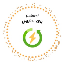Natural Energizer Sugarcane Juice