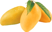 mango fruit juice